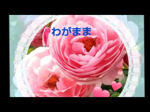 わがまま       cover