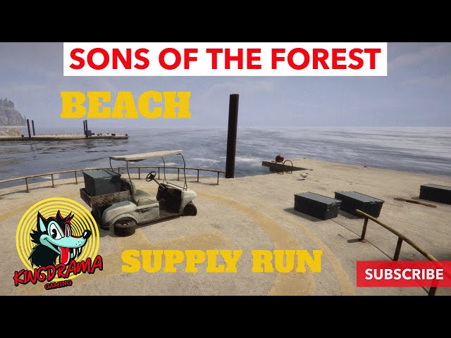 New Adventure Starts on the Beach! SONS OF THE FOREST part 1 LS [18+] 