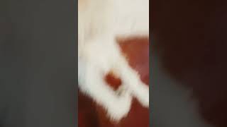 28 De Março De 2024