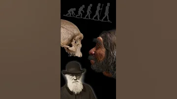 فکر میکنیم انسان هستیم پیدایش انسان کی بود 