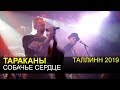 ТАРАКАНЫ - Собачье сердце (Таллин 2019)