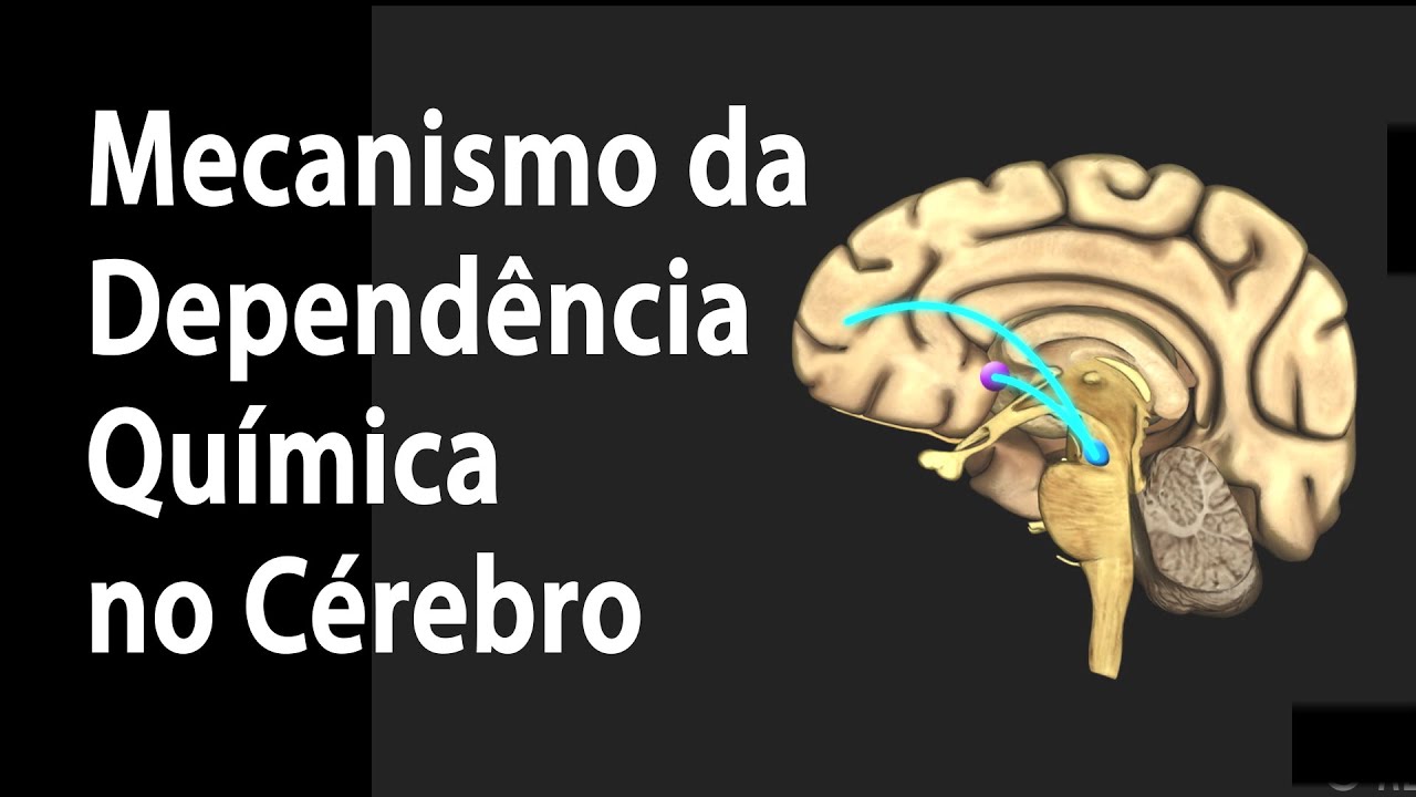 Mecanismo da Dependência Química no Cérebro. Alila Medical Media Português.  - YouTube