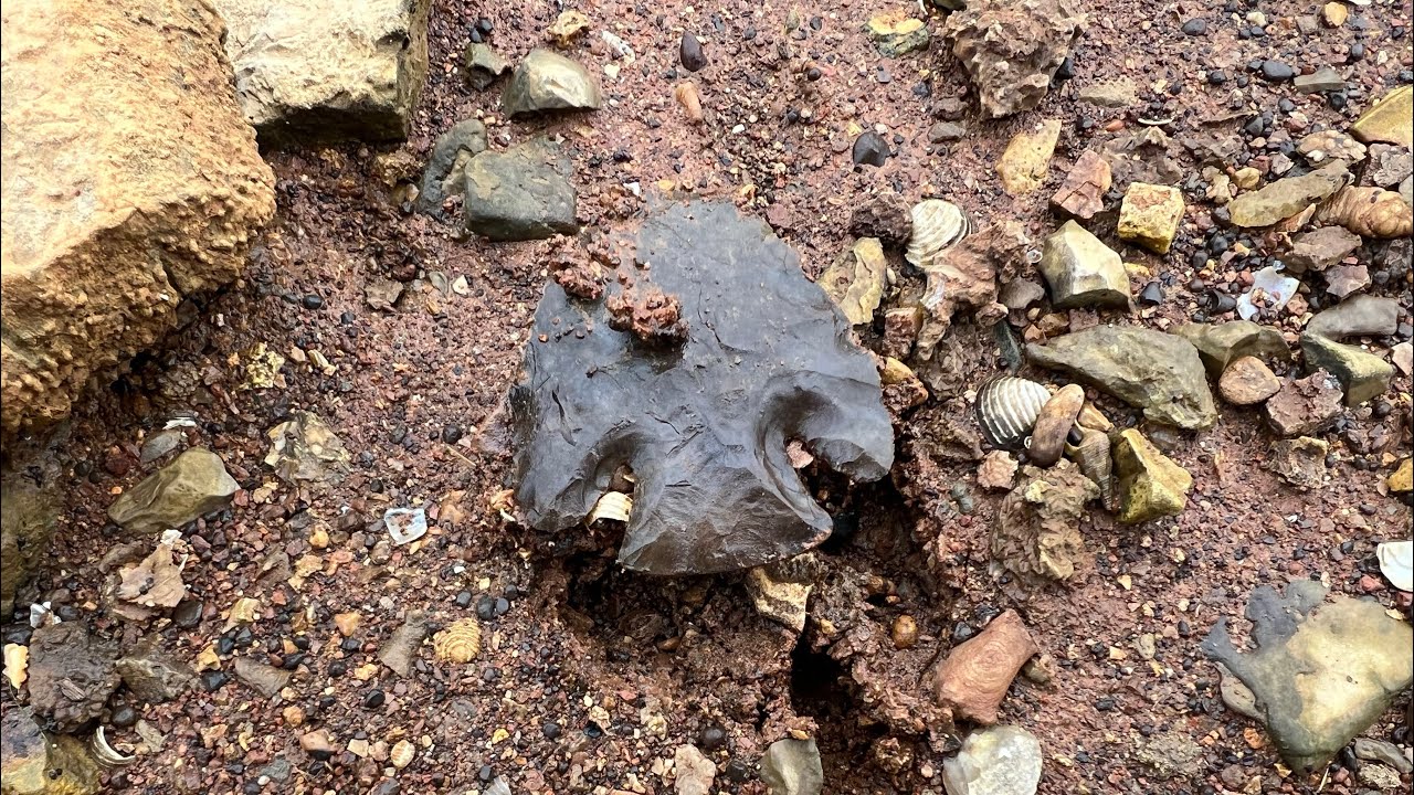 Year of the Lost Lake!!! Arrowhead hunting Tennessee YouTube