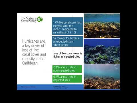 Insuring nature  An insurance policy for the Mesoamerican Reef