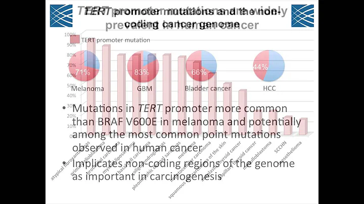 TERT Promoter Mutations in Cancer