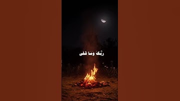 أكتب شي تؤجر عليه 🖤 #قرآن #تلاوة #سورة_الضحى #أنس_لهبوبي #اكسبلور