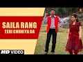 Saila Rang Teri Chuniya Da - Most Popular Romantic Himachali Song Karnail Rana, Geeta Bharadwaj