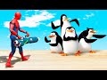 GTA 5 Water Ragdolls Spiderman vs Penguins of Madagascar Jumps/Fails| Euphoria Physics Funny Moments