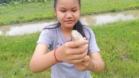 Thôn Nữ Thăm Lưới Dính Cá To