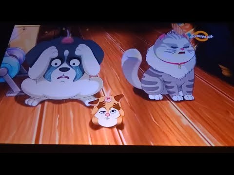 Minimax (Romania) 2024: The Sisters Bumper/Pet Hotel Promo