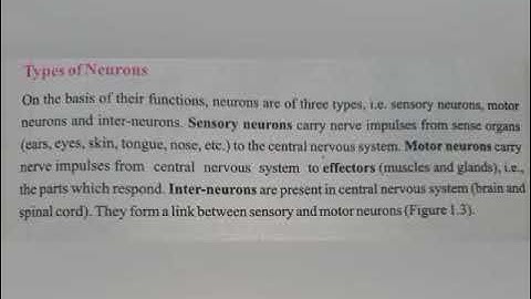 Class 8th, General Science, unit # 1, Types of Neurons part 2