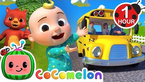 Wheels on the bus 🚌 | #youtube #kidsentertainment #chuchutv #cocomelon #kids 
