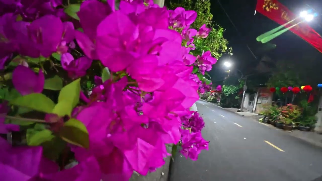 [4K POV] The Breath of Tet — An Early Morning Walk