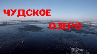 РЫБАЛКА ЧУДСКОЕ ОЗЕРО. КЛЮЁТ ВЧЕРА И ЗАВТРА.