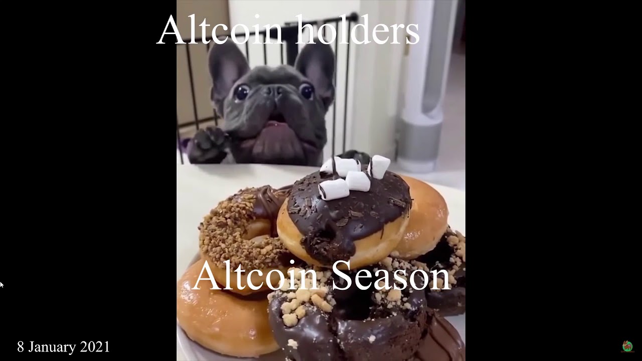 The current state of the market (8 January 2021) Bitcoin meme!