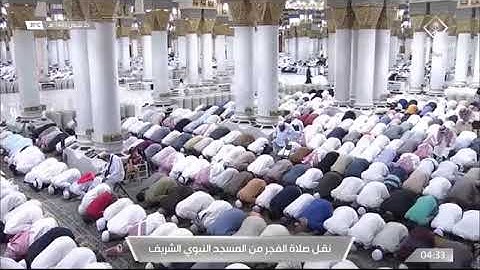 سورة النبأ ‏تلاوة لفضيلة الشيخ ⁧‫صلاح البدير‬⁩ صلاة الفجر من المسجد النبوي ٢٥ شوال ١٤٤٣ هـ