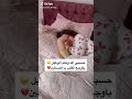 ارض الحرية مسروقه