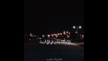 سورة البقرة|القارئ محمد النقيب💙.