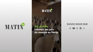 Aïd Al Adha : Frénésie des prix du mouton au Maroc