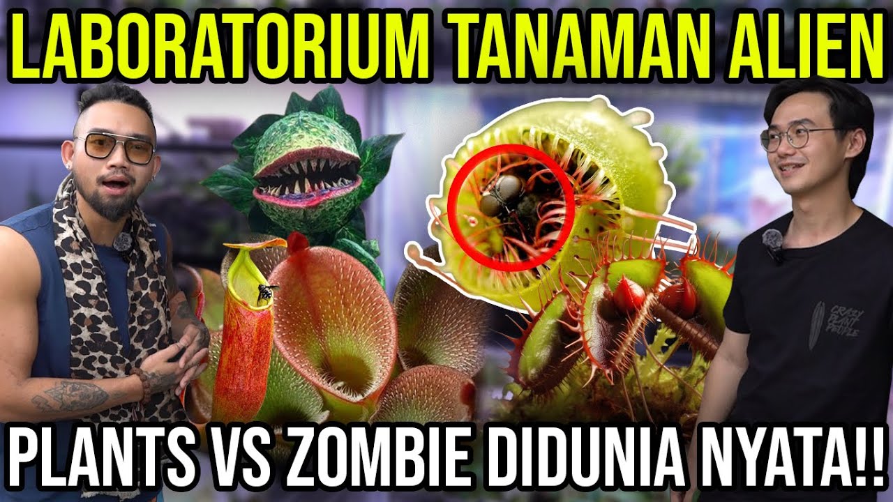 LABORATORIUM TANAMAN ALIEN PLANTS VS ZOMBIE DIDUNIA NYATA!! PLANTAS.ID #Audreykingofthejungle