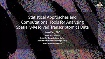 Statistical Approaches and Computational Tools for Analyzing Spatially-Resolved Transcriptomics Data