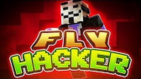 Caught A Fly Hacker Mineplex