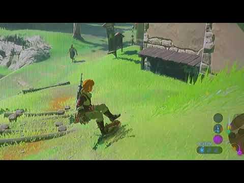 Shield surfing on a pot lid in Hateno Village