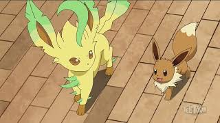 Chloe’s Eevee Meets Erika’s Leafeon | Pokémon Ultimate Journeys Episode 94 English Dub