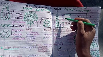 Thallus organization in algae,||Bsc||MSc||