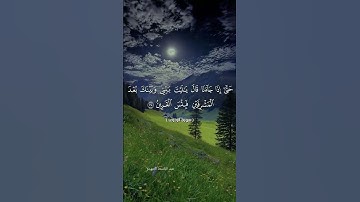 #تلاوة_خاشعة #راحة_نفسية #لايك #قرآن #دويتو #duet #تيك_توك #حالات_واتس #quran