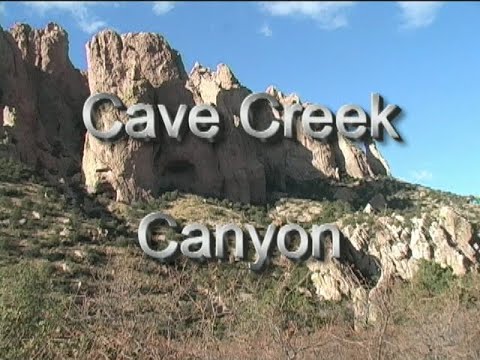 Cave Creek bird watching