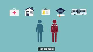 IDHS - Programa de Asistencia al Cliente (CAP) - Descripción General