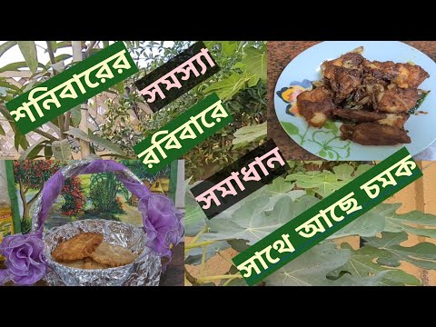 ভিডিও: মাছ ভাজার জন্য কীভাবে পিঠা তৈরি করবেন