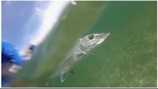 Blistering, drag-screaming bonefish run on the kayak