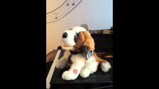 St.Bernard toy dog sings