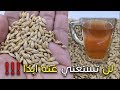 هذا ما سوف يحدث لجسمك فور شرب مغلي الشعير - لن تستغني عنه ابدا - ورد ذكره في القران والطب النبوي