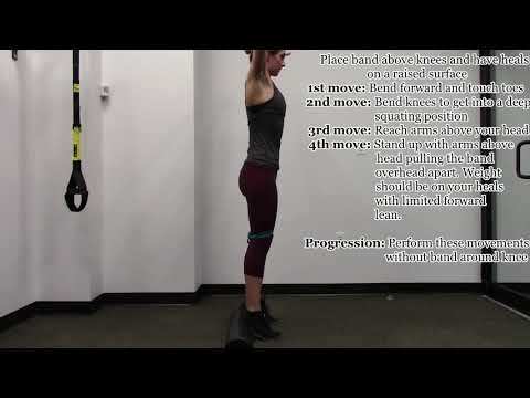 Squat Re Training Posterior Chain