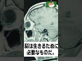 【致死率100%】「脳食いアメーバ」脳を蝕み半球の形状を保てない程軟化してしまう病