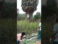 ঢাকা বিরুলিয়া কৃষিবিদ সিটিতে আমাদের বাউন্ডারি ওয়ালের কাজ চলমান #subscribe #construction