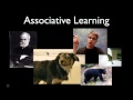 Animal Behavior Insights From Instincts to Learning
