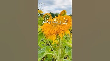 #قرآن #راحة_نفسية #تلاوة_خاشعة #تلاوة_هادئة #tilawat
