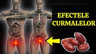 DOAR 3 CURMALE ZILNIC VOR DECLANȘA PROCESE IREVERSIBILE ÎN ORGANISMUL TĂU!