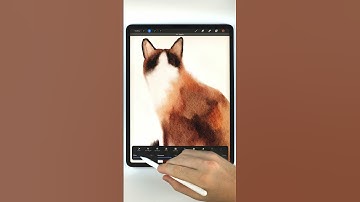 abstract watercolor cat portrait in procreate #watercolor #watercolortutorial #paintingtutorial