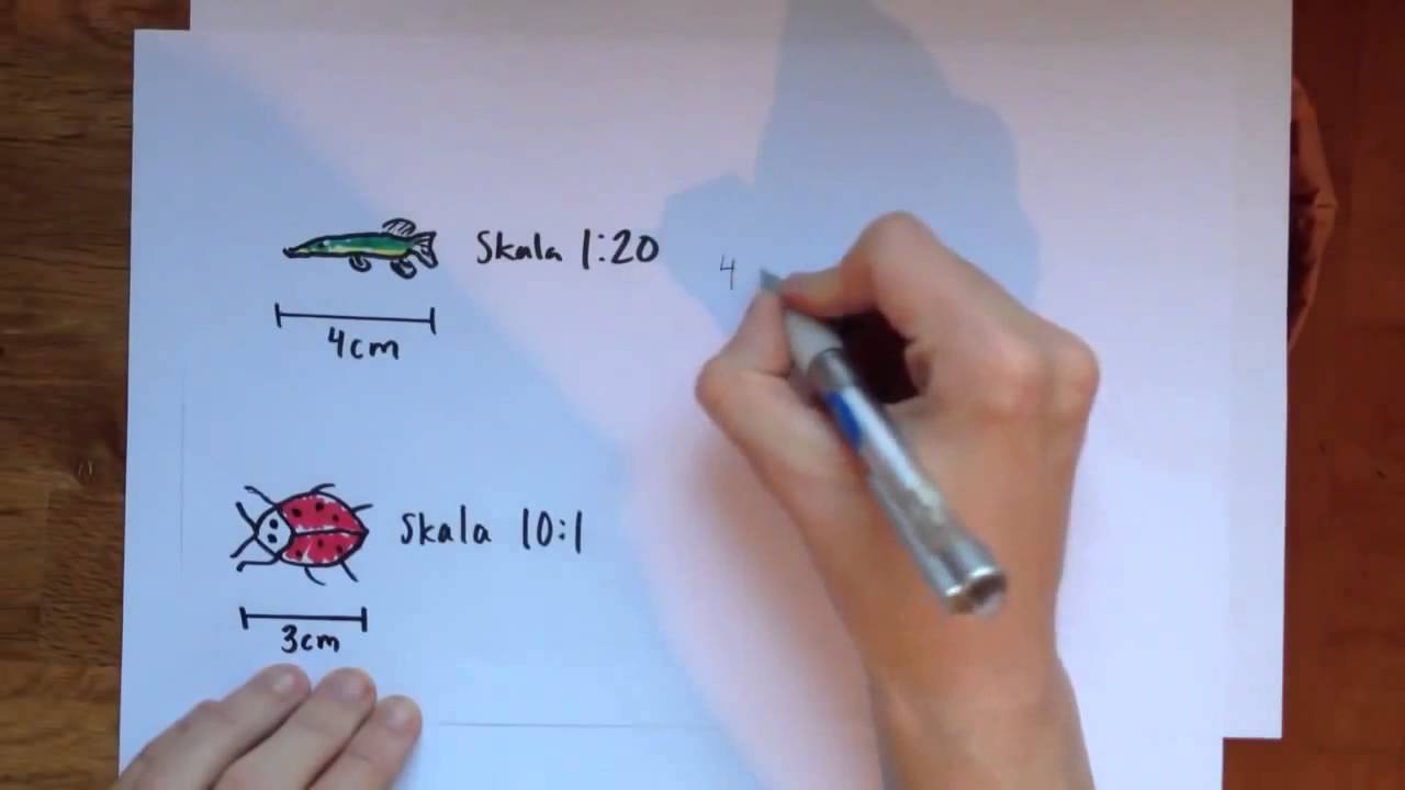 Film 2: Geometri Skala