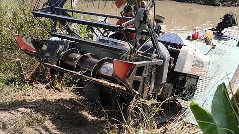 máy Cắt  70 Cập bến Lên phà Cắt Lúa Ô em tập1062#maibangtv