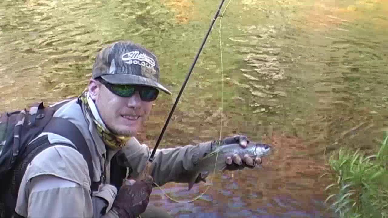 Dry fly fishing for rainbow trout on the Elandspad
