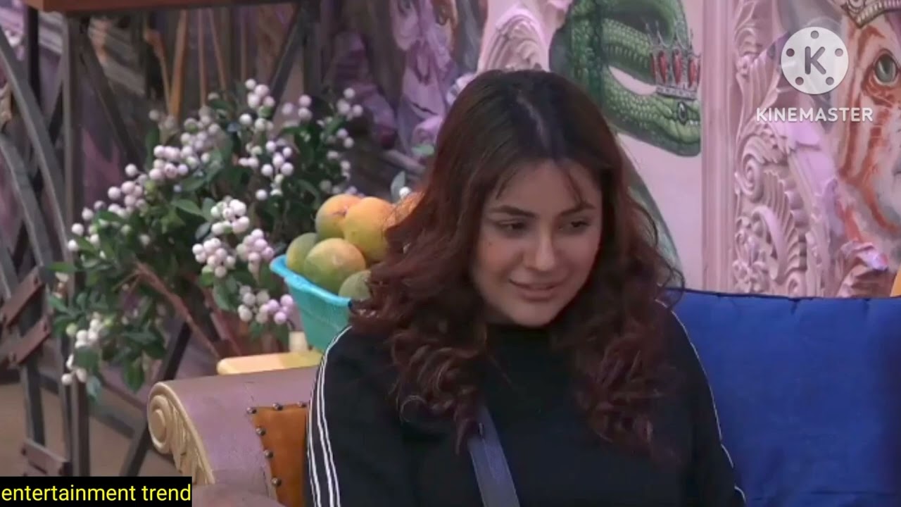 Sidnaaz ep-65 p1 | sid sana ke aage piche ghoom raha tha! entertainment trend #SidNaaz