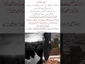 Ramze junoon novel Zaviyar khanzada 🥵🔥#foryou #novel #shorts#healinglove
