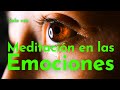 MEDITACIÓN en las EMOCIONES ⎢Aceptación AMABLE de las Emociones Negativas 💔