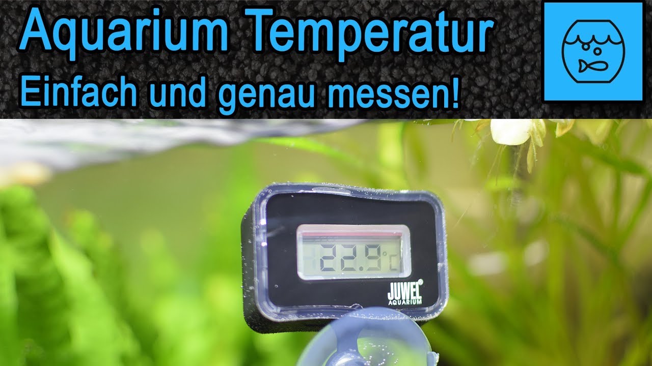 Aquarium Wassertemperatur einfach und genau messen - Juwel Digitales  Thermometer 2.0 - Unboxing 